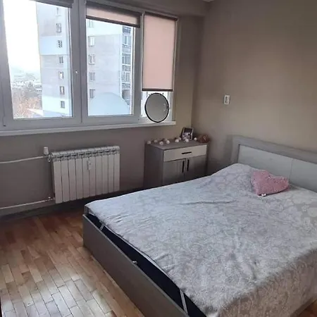 Apartment Musala *